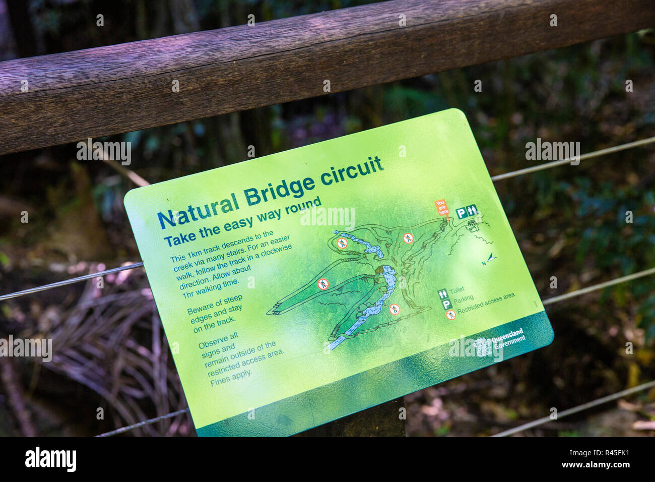 Natural bridge circuit in Springbrook national park,Gold Coast Hinterland,Australia Stock Photo