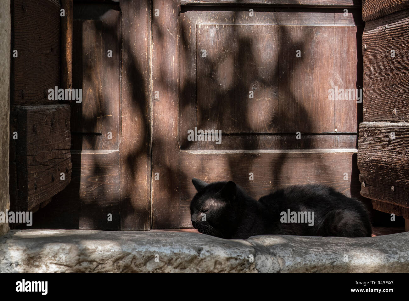 Cat On The Doorstep Stock Photo Alamy