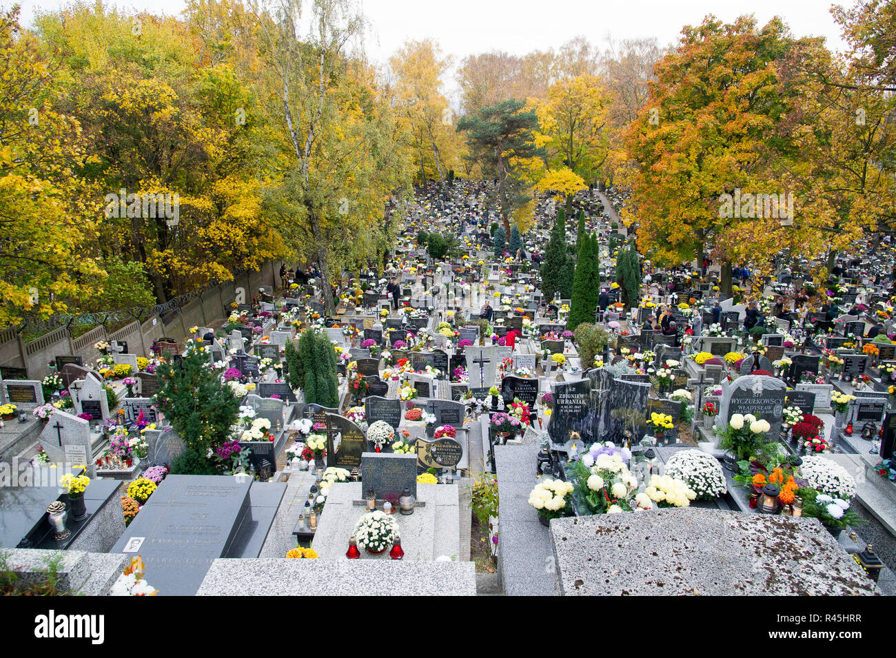 Gdynia flowers hires stock photography and images Alamy