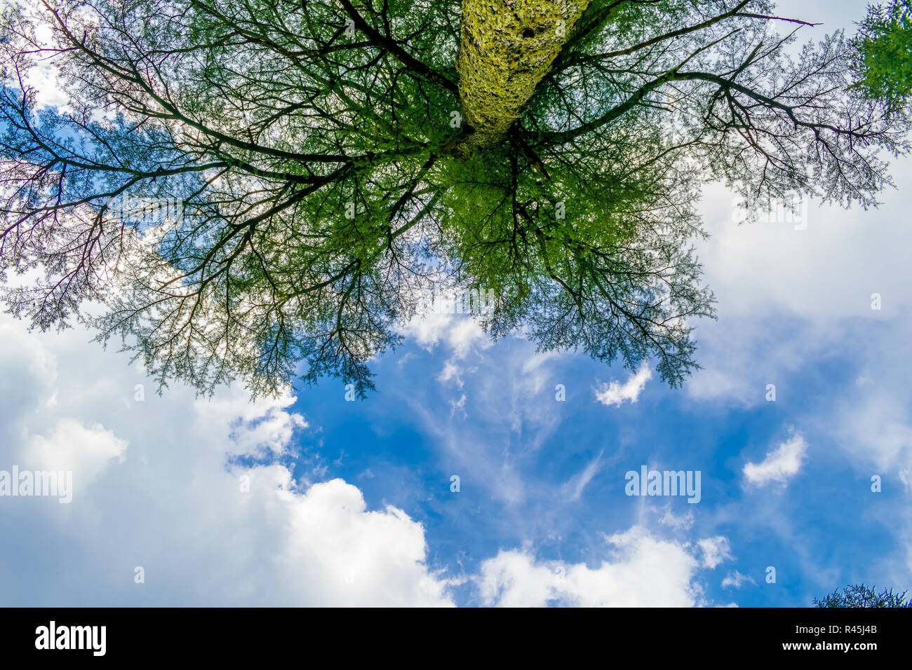 Khajjiar lake himachal hi-res stock photography and images - Alamy