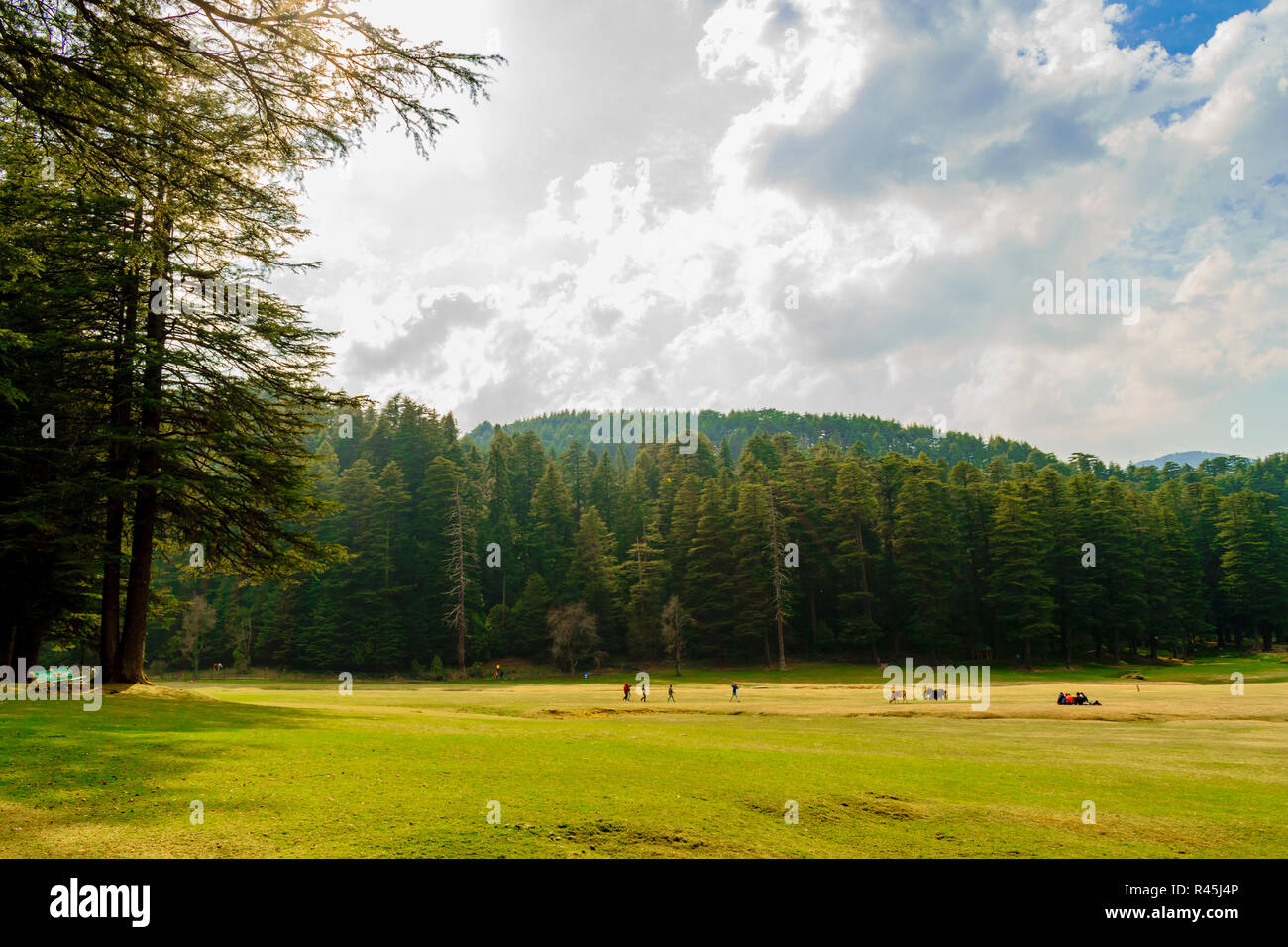 khajjiar lake stock photos