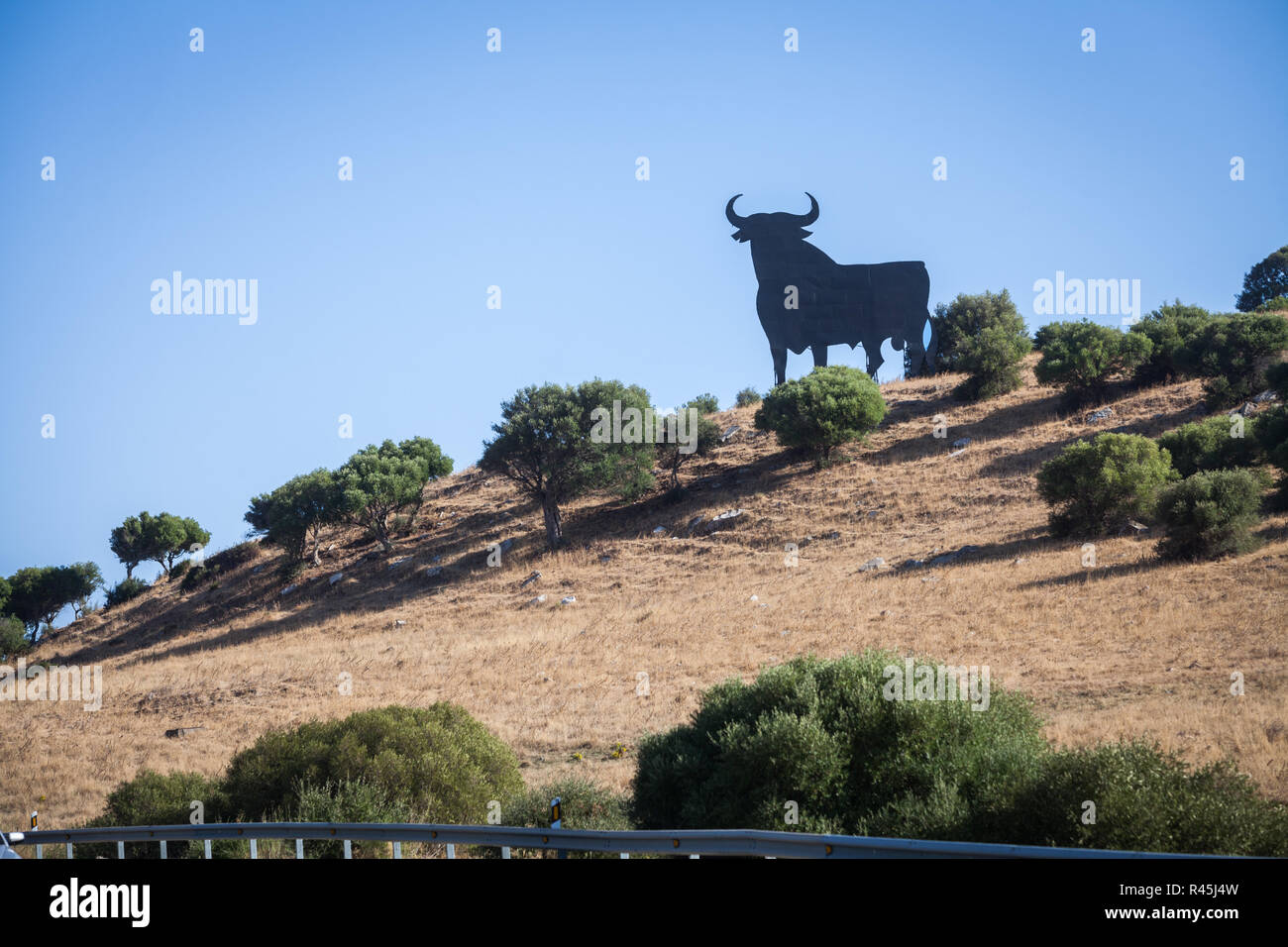 Bullshaped billboard in Spain Stock Photo Alamy