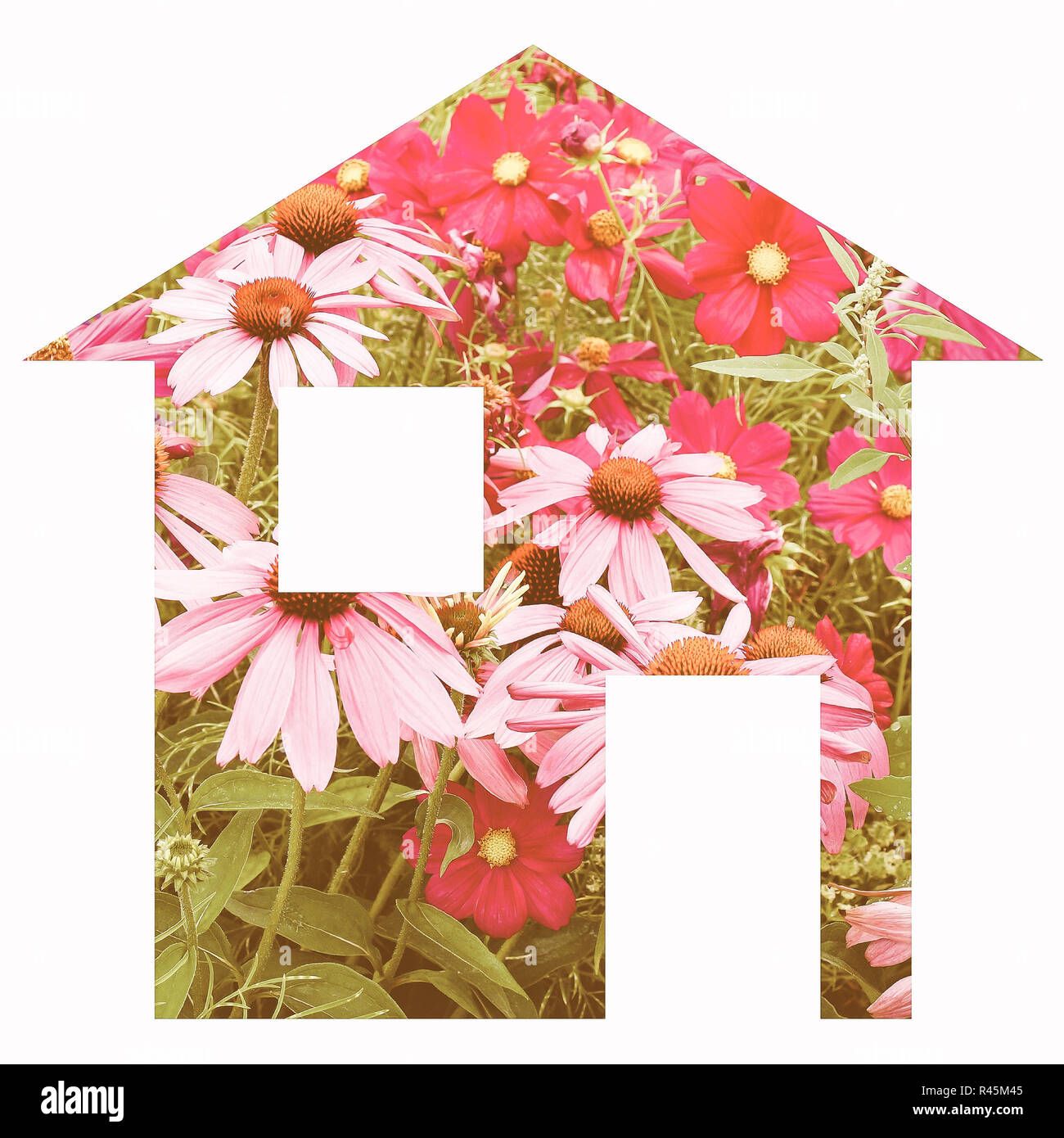 Flower house Stock Photo