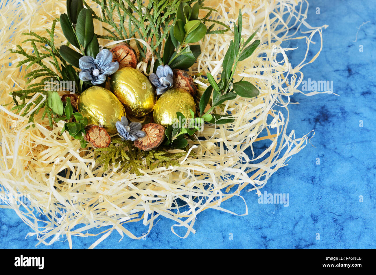 Small blue eggs in nest hi-res stock photography and images - Alamy