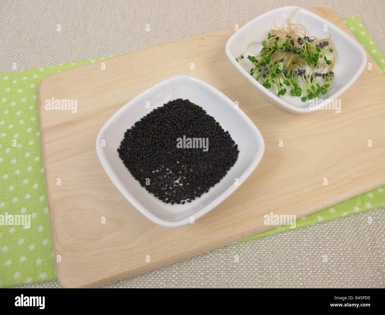 basil sprouts and basil keimsaat Stock Photo Alamy