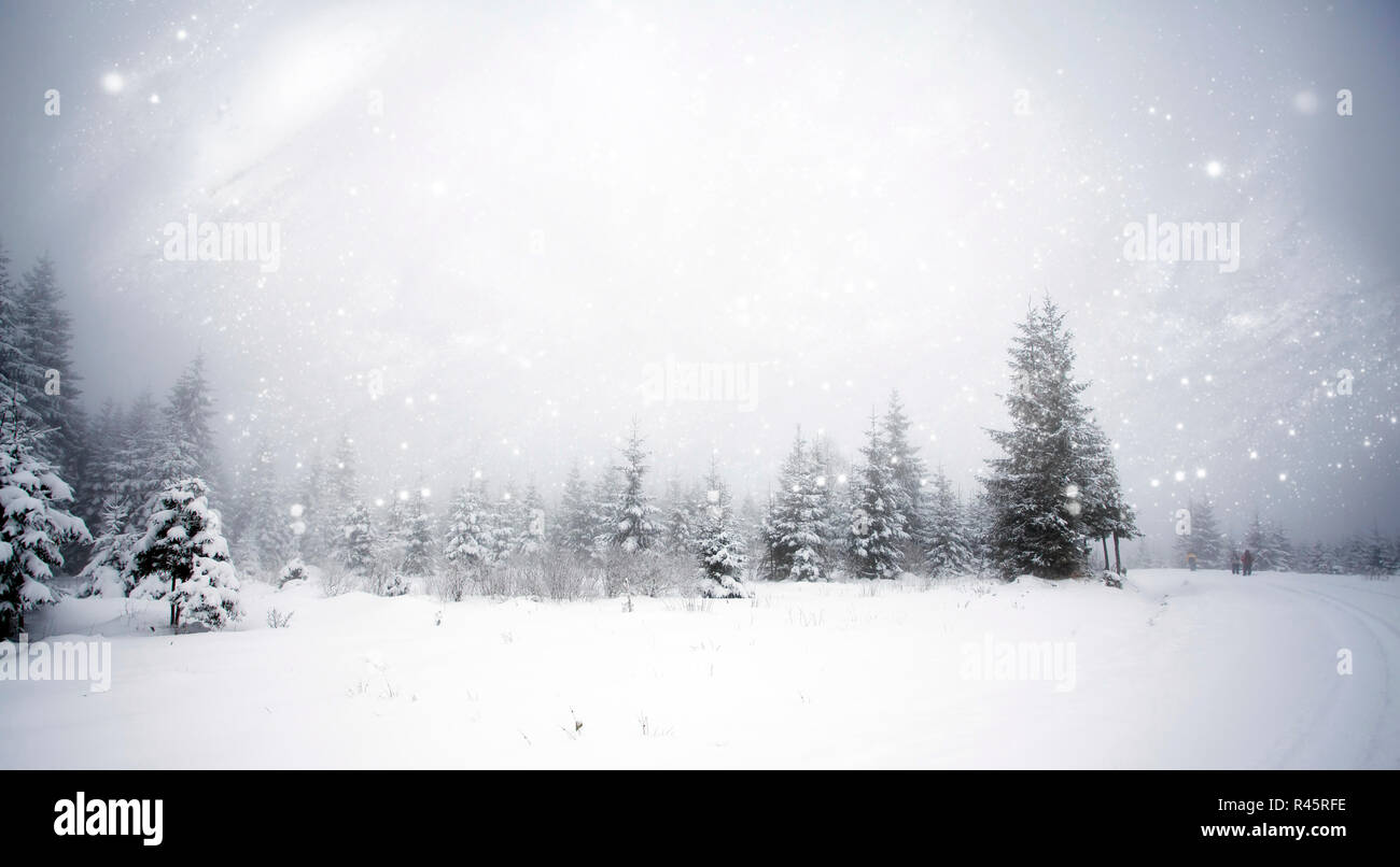 Winter landscape with snowy fir trees Stock Photo - Alamy