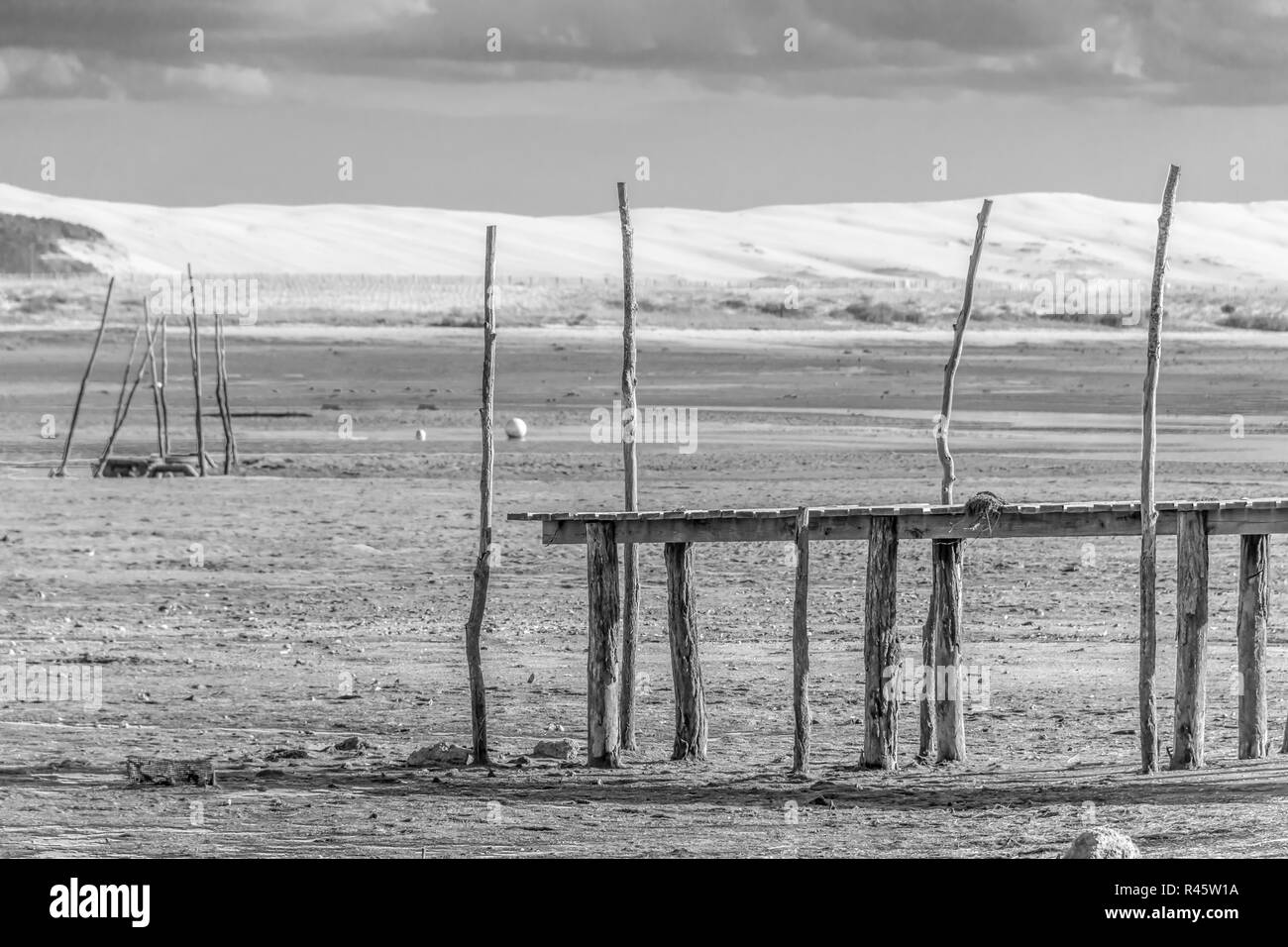 Cap ferret Black and White Stock Photos & Images Alamy