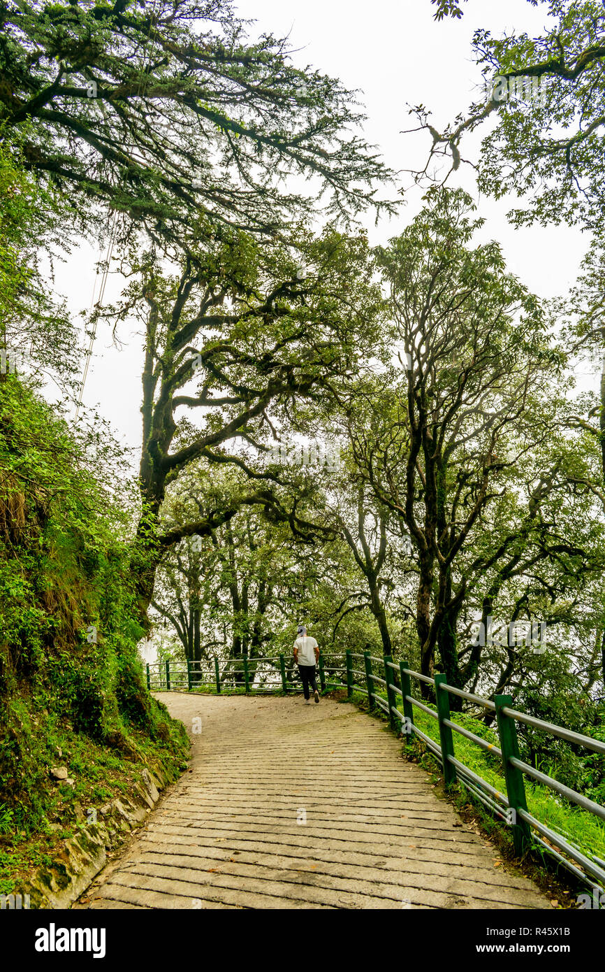 A misty serpentine road in the mountain, Landour Stock Photo
