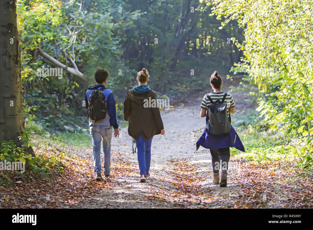 Young people walking on path in the forest Stock Photo