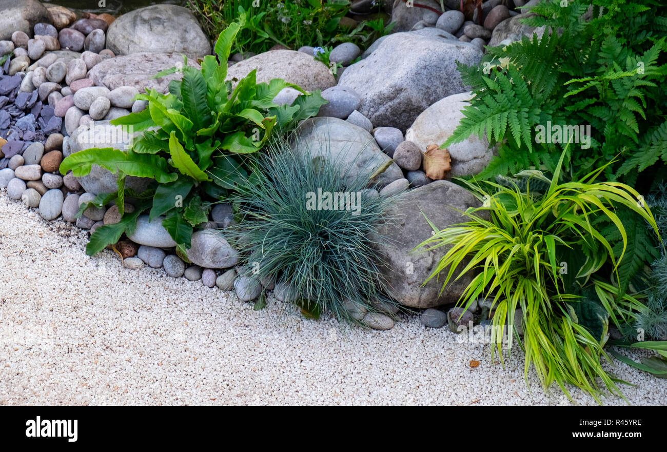 Ferns and grasses planted in pebble garden Stock Photo