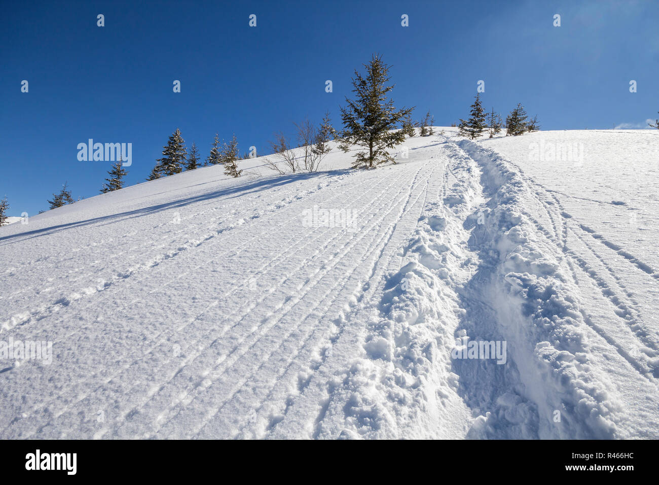 Beautiful winter Christmas landscape. Steep mountain hill slope with path and ski tracks in crystal white deep snow and growing spruce trees on clear  Stock Photo