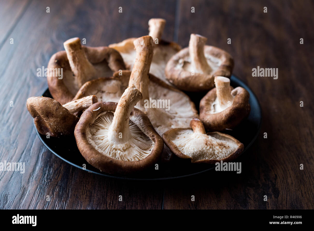 Shiitake mushroom hires stock photography and images Alamy