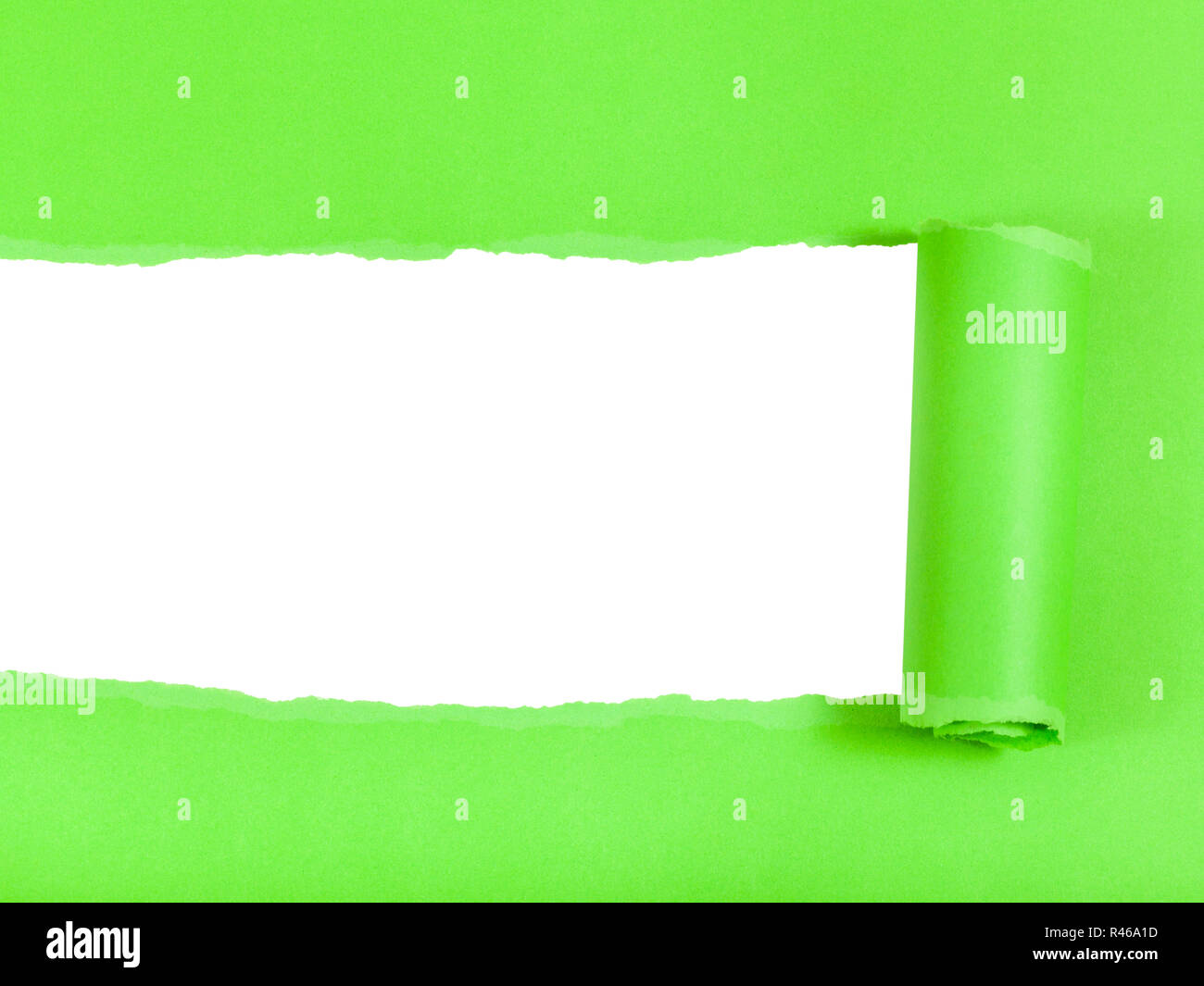 Green Ribbled Paper green rolled-up ripped paper on white isolated Stock Photo - Alamy