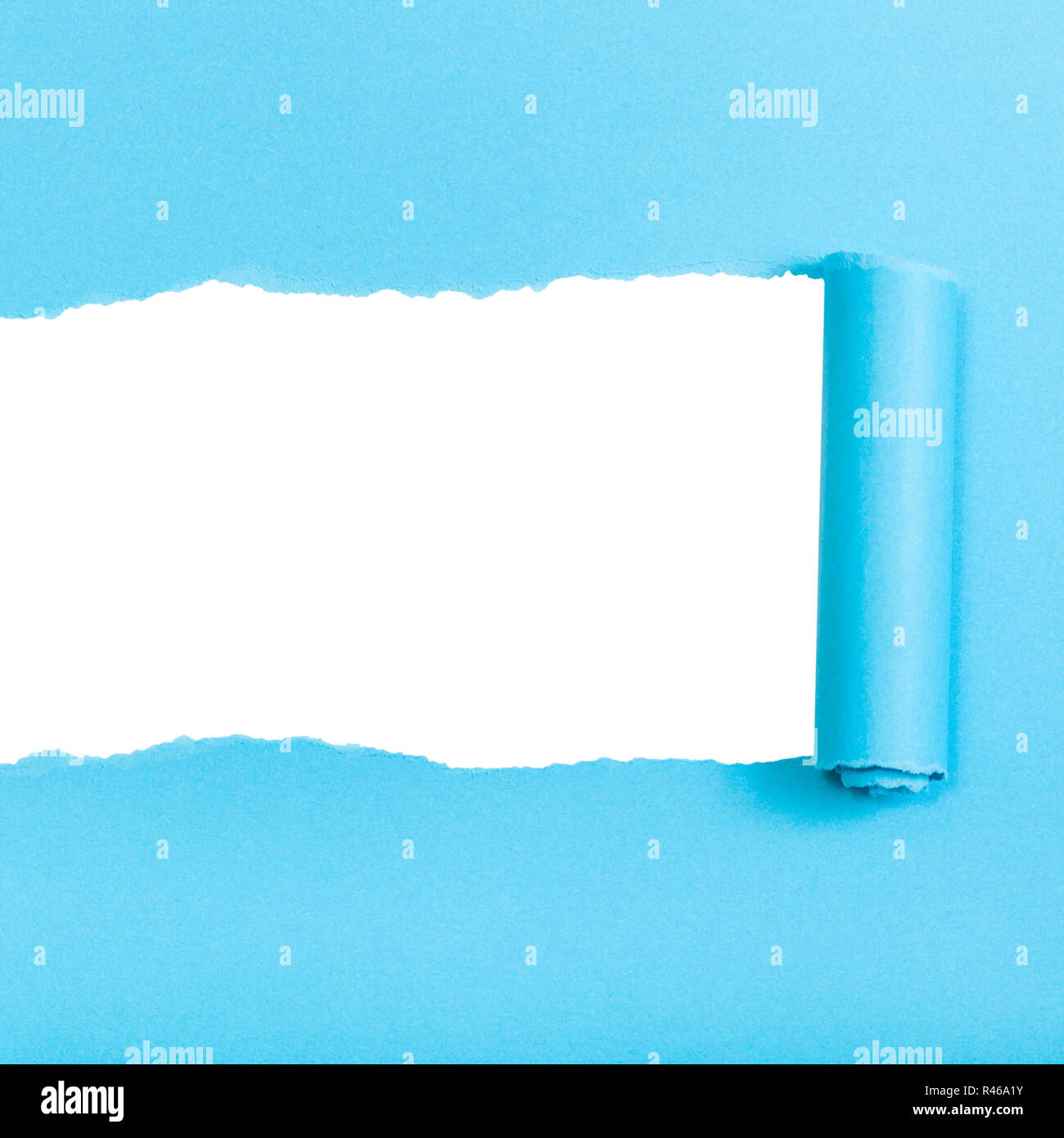 blue rolled-up torn paper on square background Stock Photo - Alamy