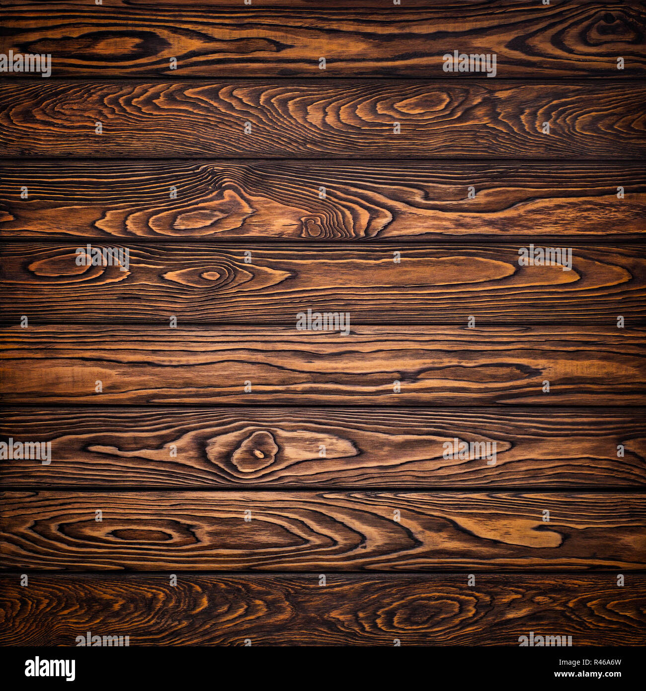 Larch tree wooden texture hi-res stock photography and images - Alamy