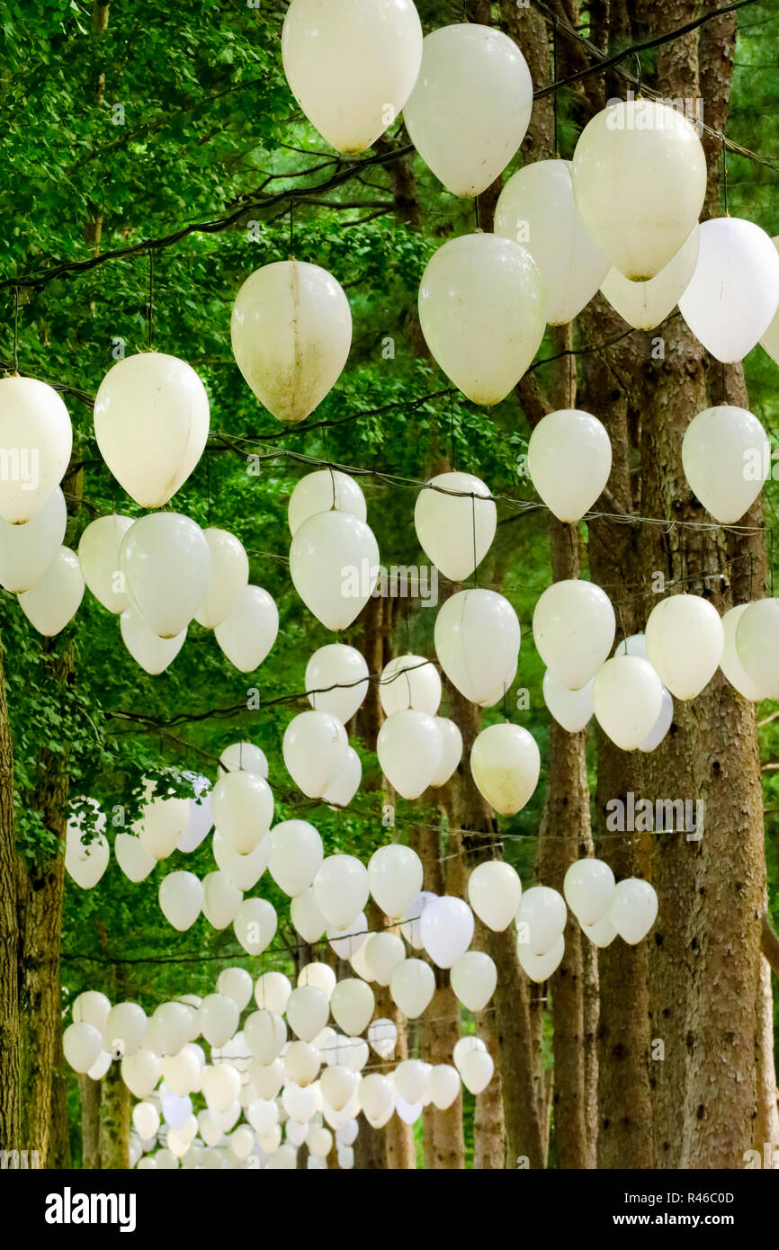 balloons hanging on tree in Namisum (Nami Island) , Chuncheon, South