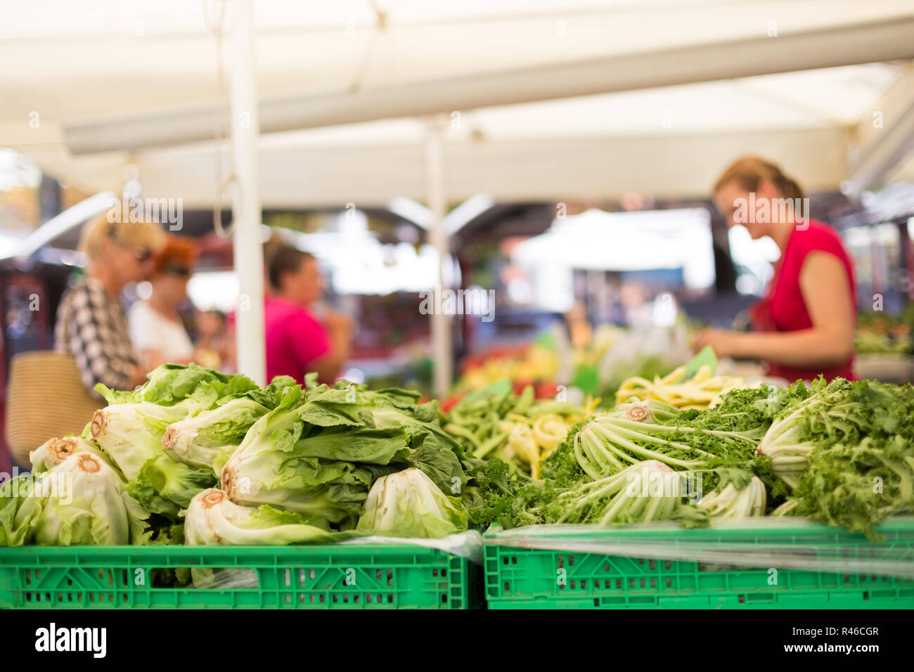 Farmers' food market stall with variety of organic vegetable Stock