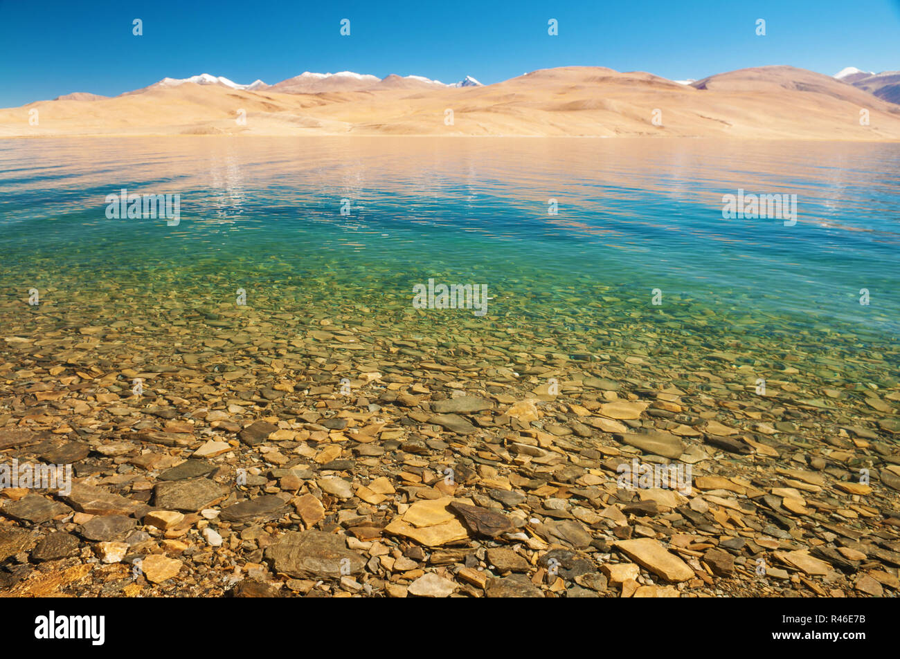 Tsomoriri wetland conservation reserve hi-res stock photography and ...