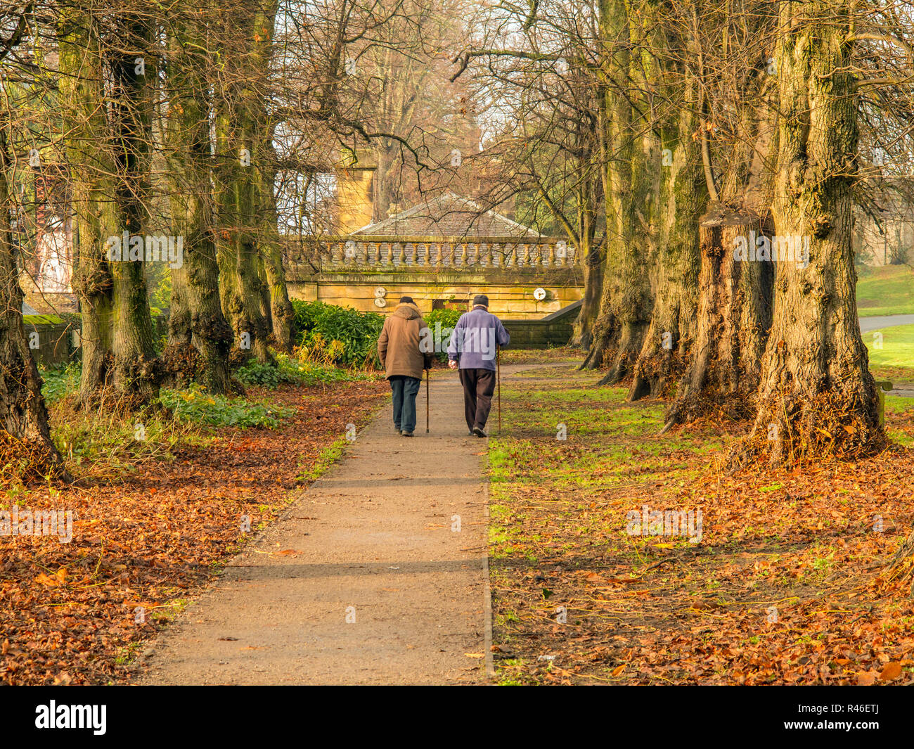 Man and woman couple elderly old age pensioners walking through parkland woodland with walking sticks  in in the autumn England UK Stock Photo