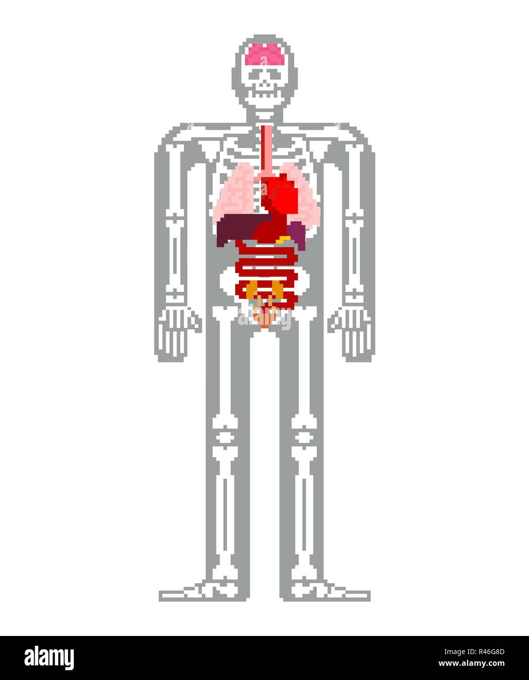 Скелет человека пиксельный