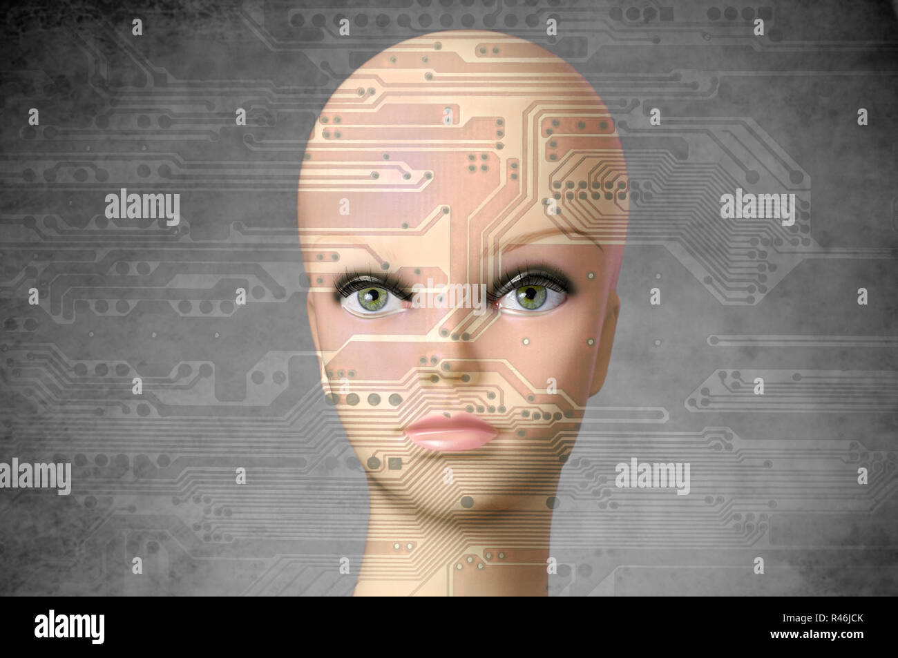 Female cyborg head with human eyes Stock Photo