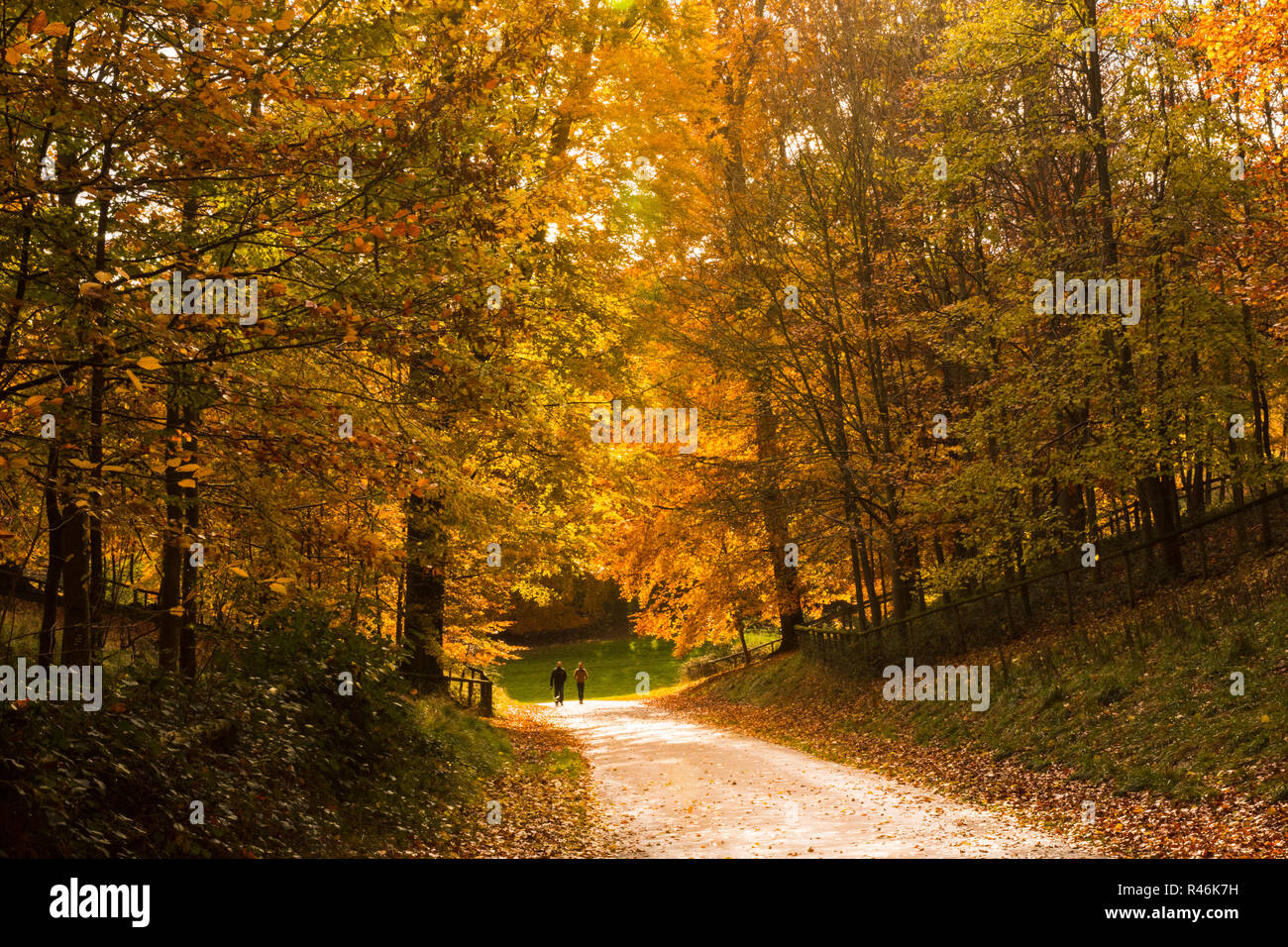 Autumn Walk Stock Photo
