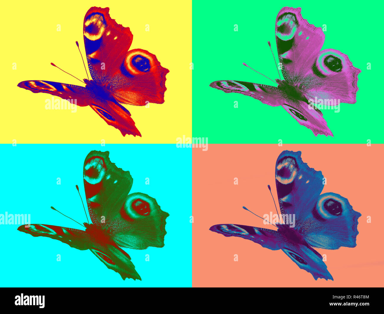 Aglais io flying in pop art style Stock Photo