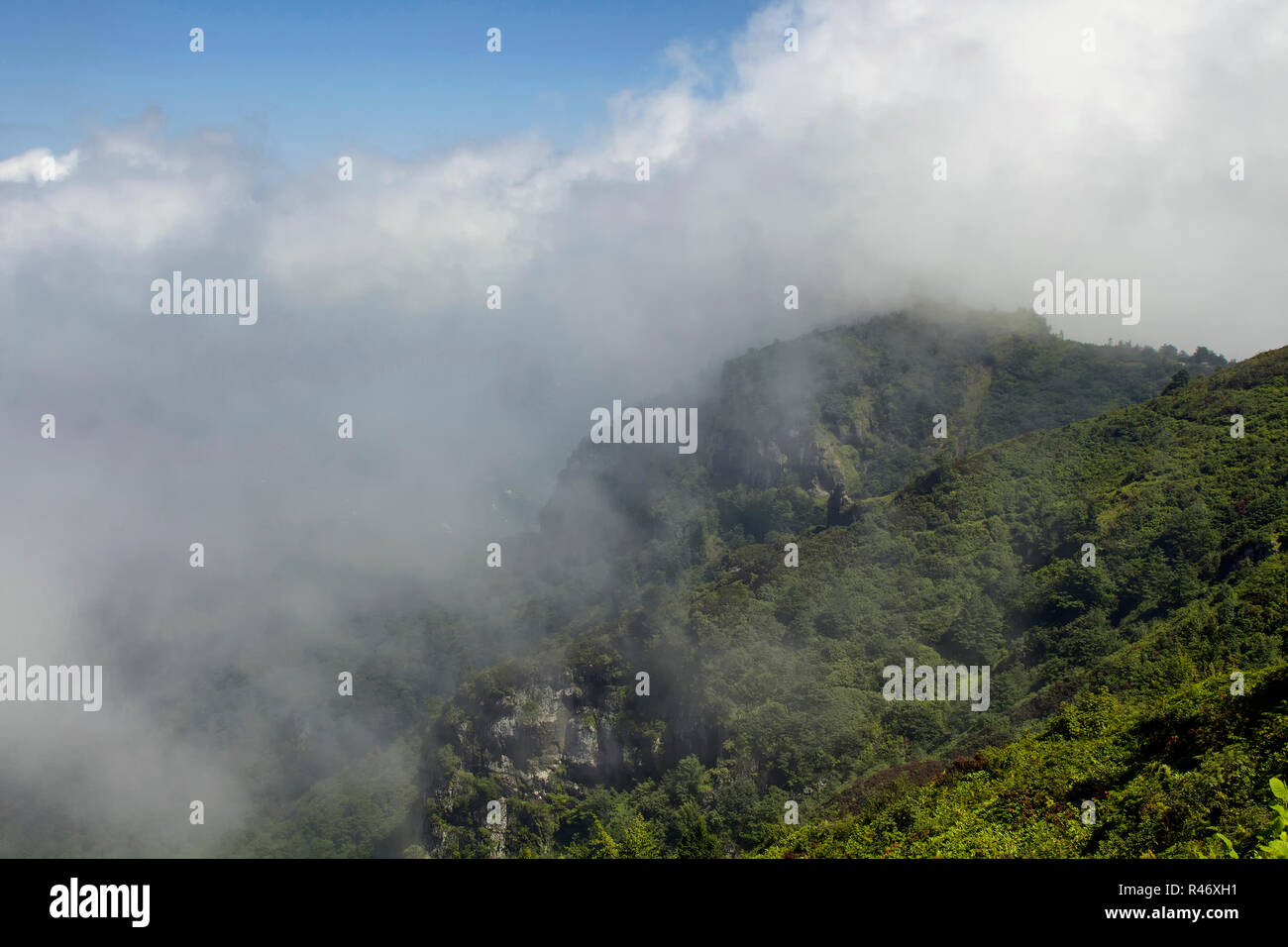 View of top of the mountain with trees in fog creating beautiful nature scene. The image is captured in Trabzon/Rize area of Black Sea region located  Stock Photo