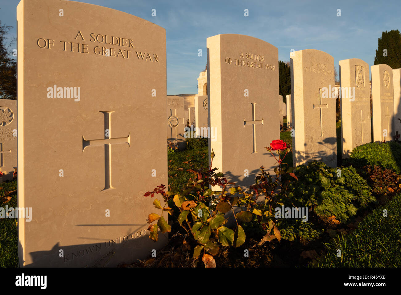 Headstones of unknown soldiers in Tyne Cot British military cemetery near Ypres Stock Photo