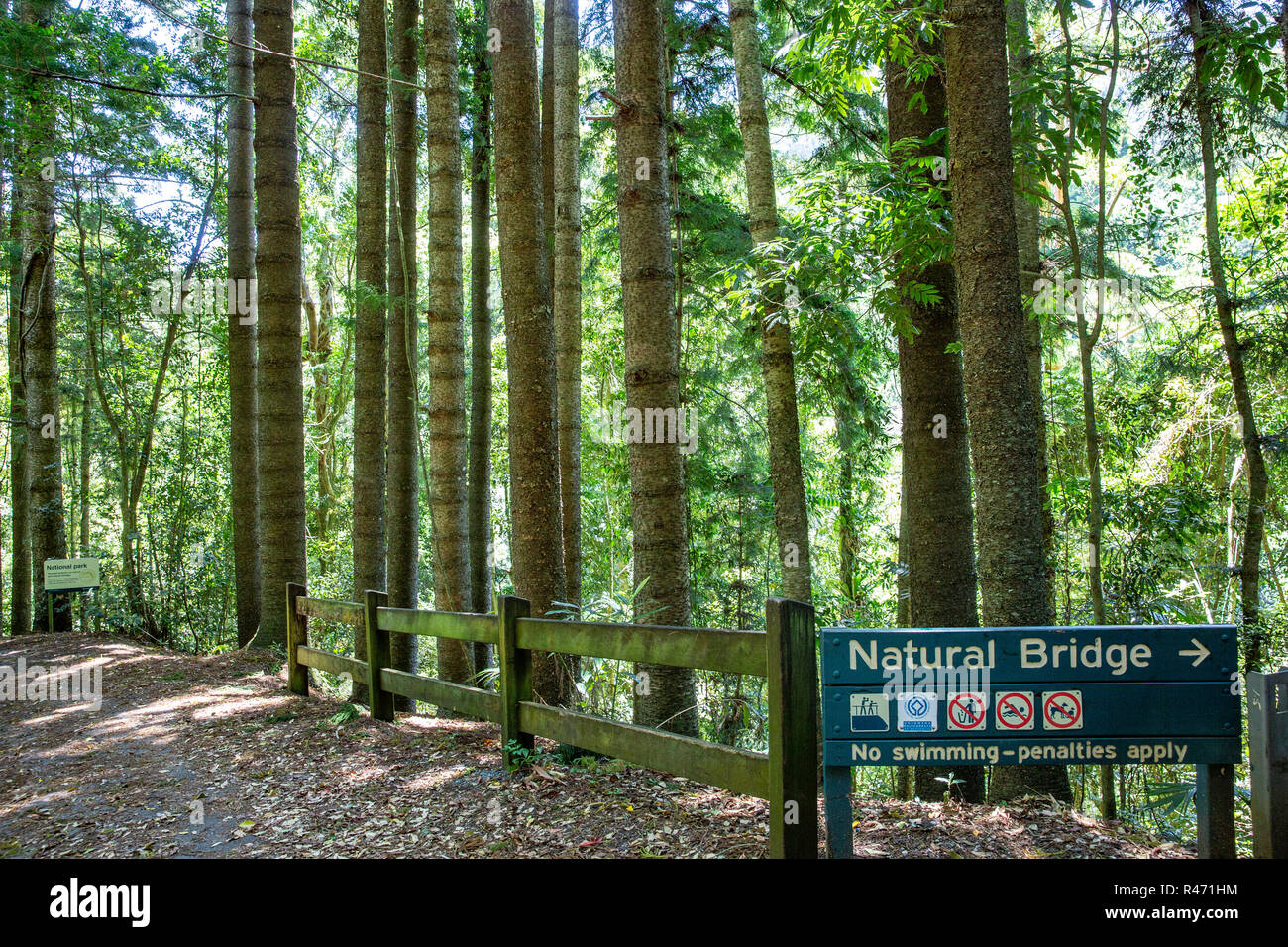 Signpost for the Natural bridge circuit and waterfall in Springbrook national park,Queensland,Australia Stock Photo