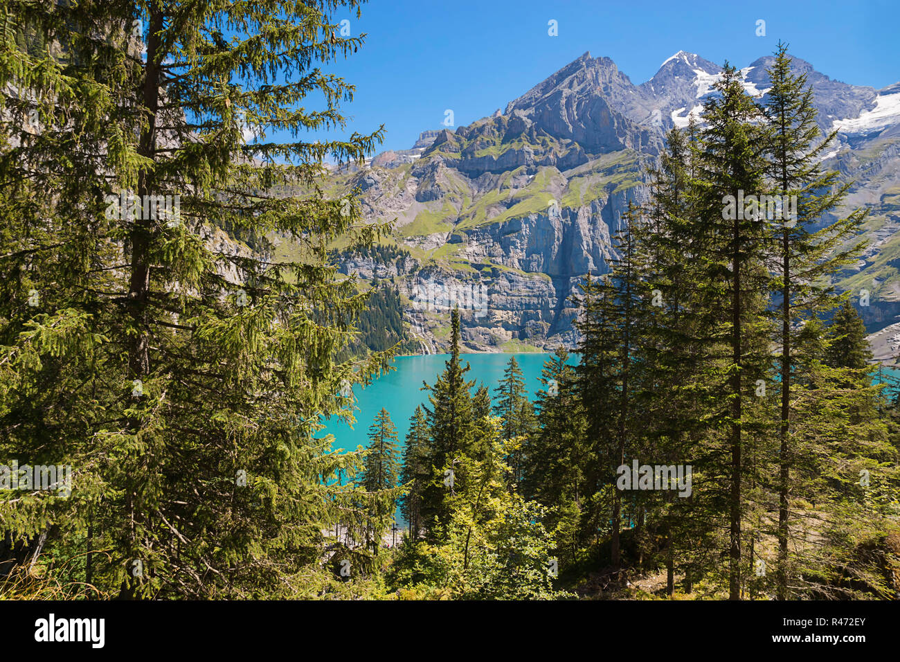 mountain forest with oeschinensee Stock Photo