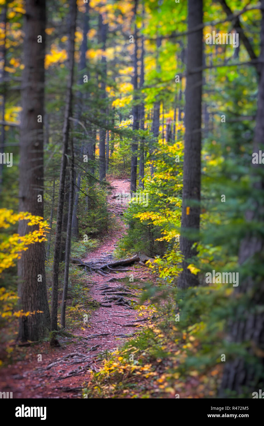 New england fall colours road trip hi-res stock photography and images ...