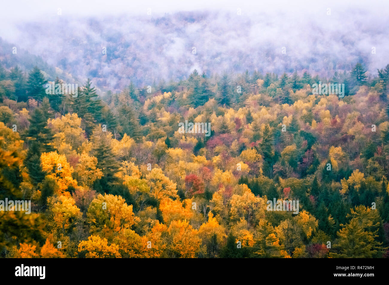 New england fall colours road trip hi-res stock photography and images ...