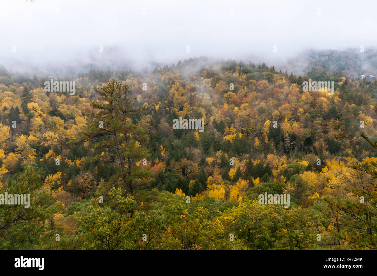 New england fall colours road trip hi-res stock photography and images ...