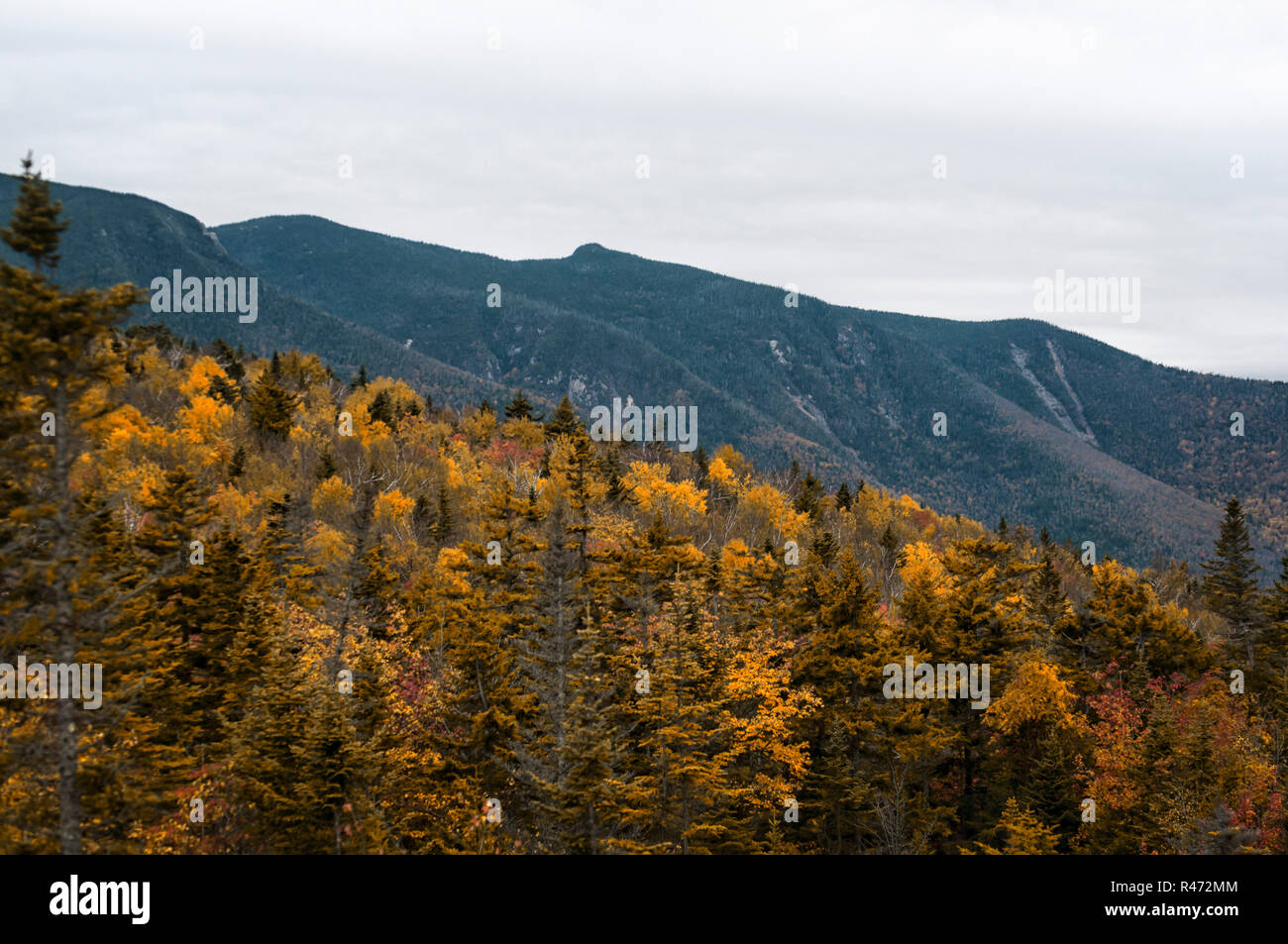 New england fall colours road trip hi-res stock photography and images ...