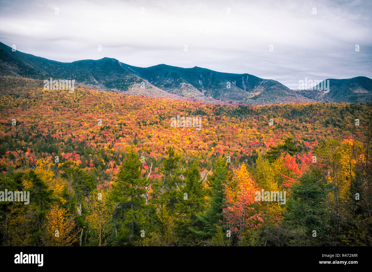 New england fall colours road trip hi-res stock photography and images ...