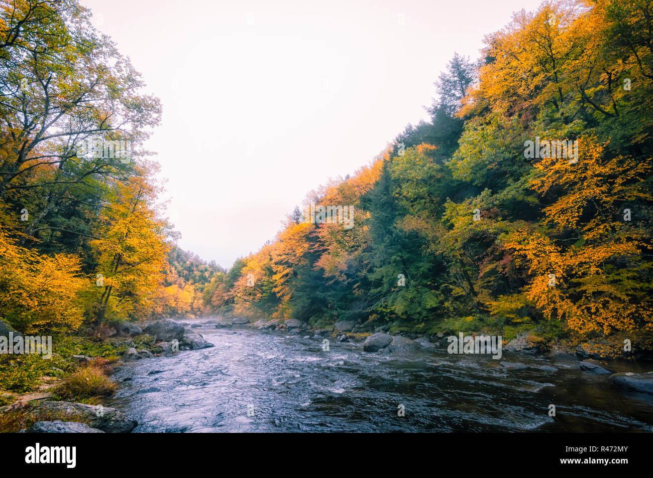 New england fall colours road trip hi-res stock photography and images ...