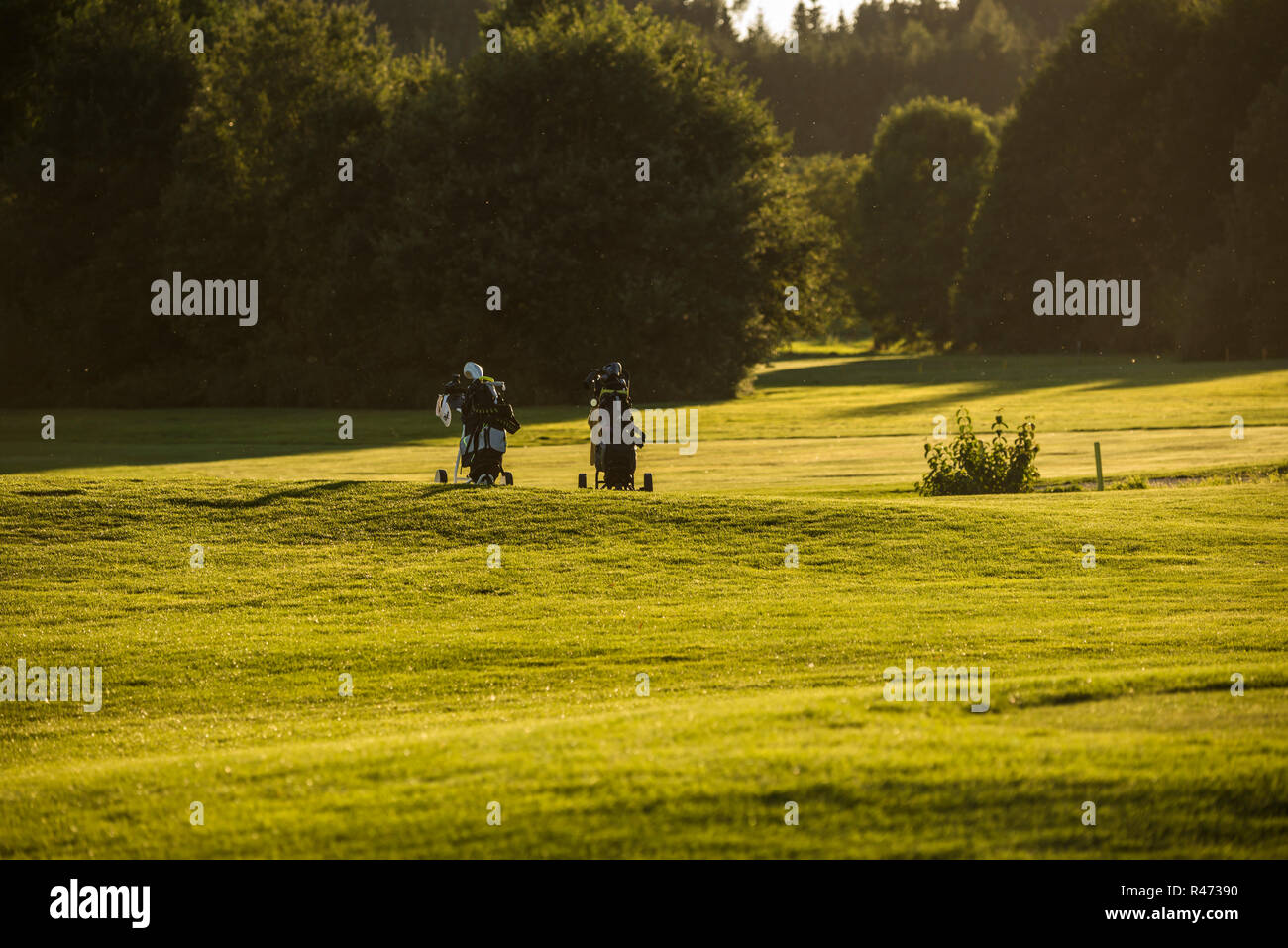 caddy at the golf course Stock Photo Alamy