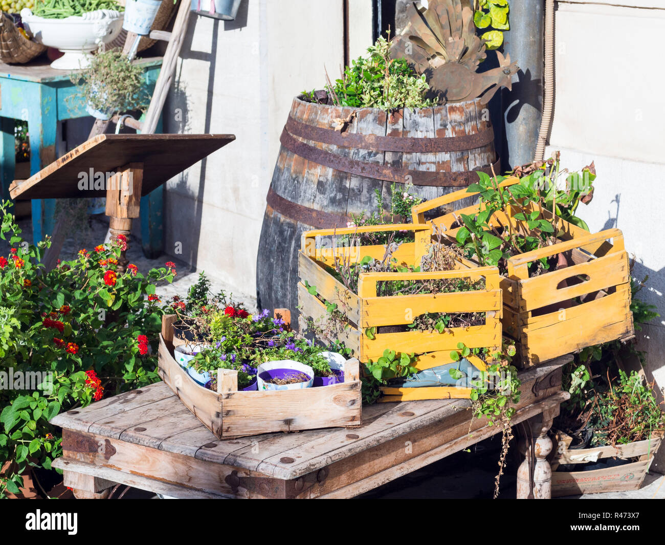 wooden boxes flowers colored Stock Photo - Alamy