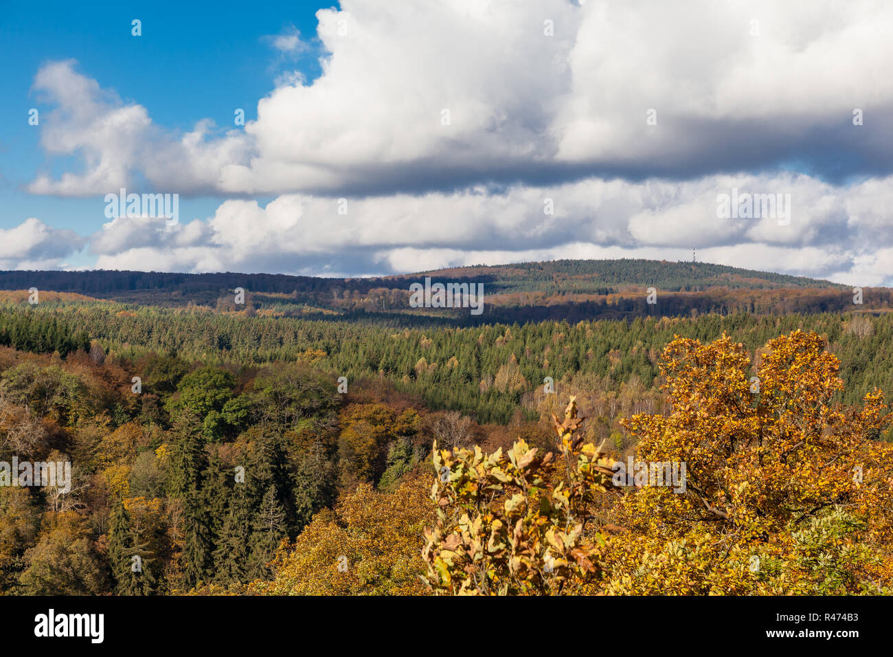 Blick Selketal im Herbst Stock Photo