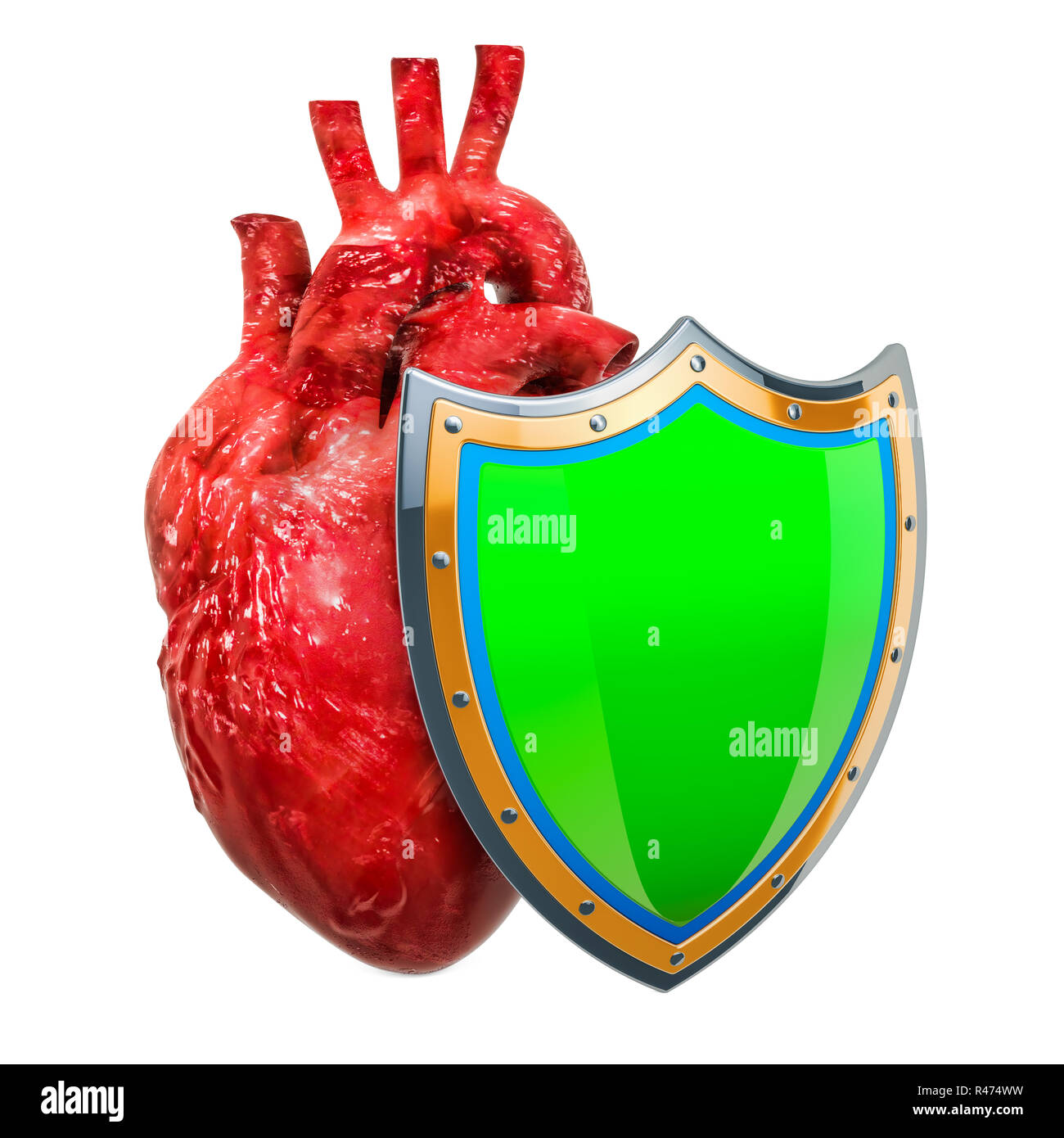 Human heart with shield, health insurance concept. 3D rendering isolated on white background Stock Photo