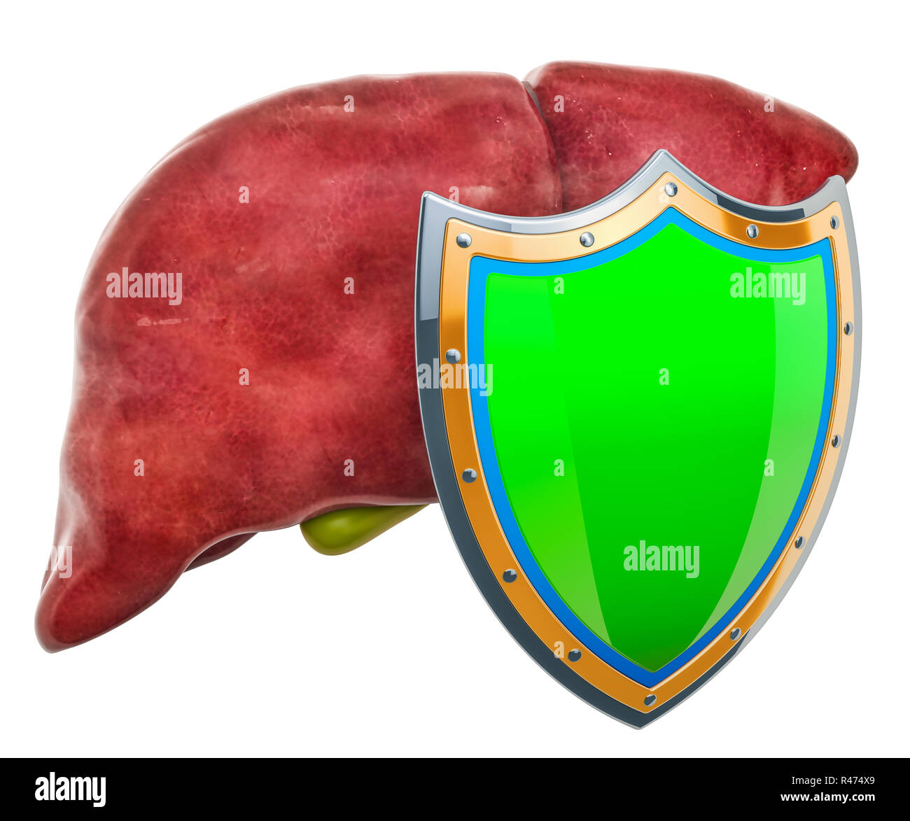 Human liver with shield, liver protect concept. 3D rendering isolated on white background Stock Photo