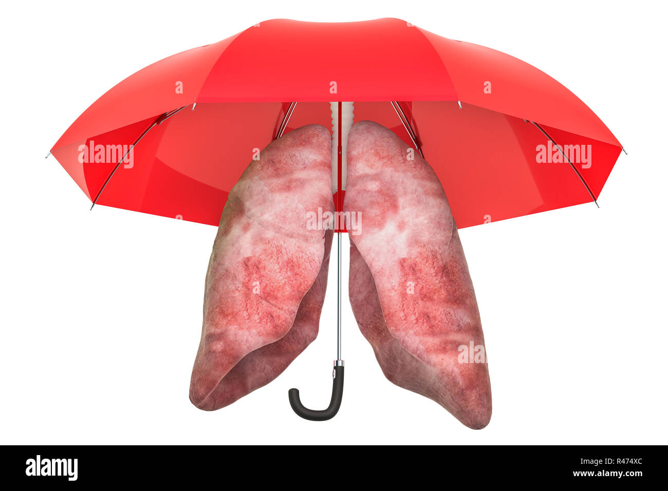 Human lungs under umbrella, protect concept. 3D rendering isolated on white background Stock Photo