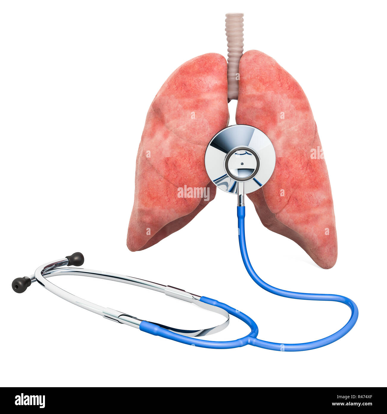 Human lungs with stethoscope. Diagnosis and treatment of lungs concept, 3D rendering Stock Photo