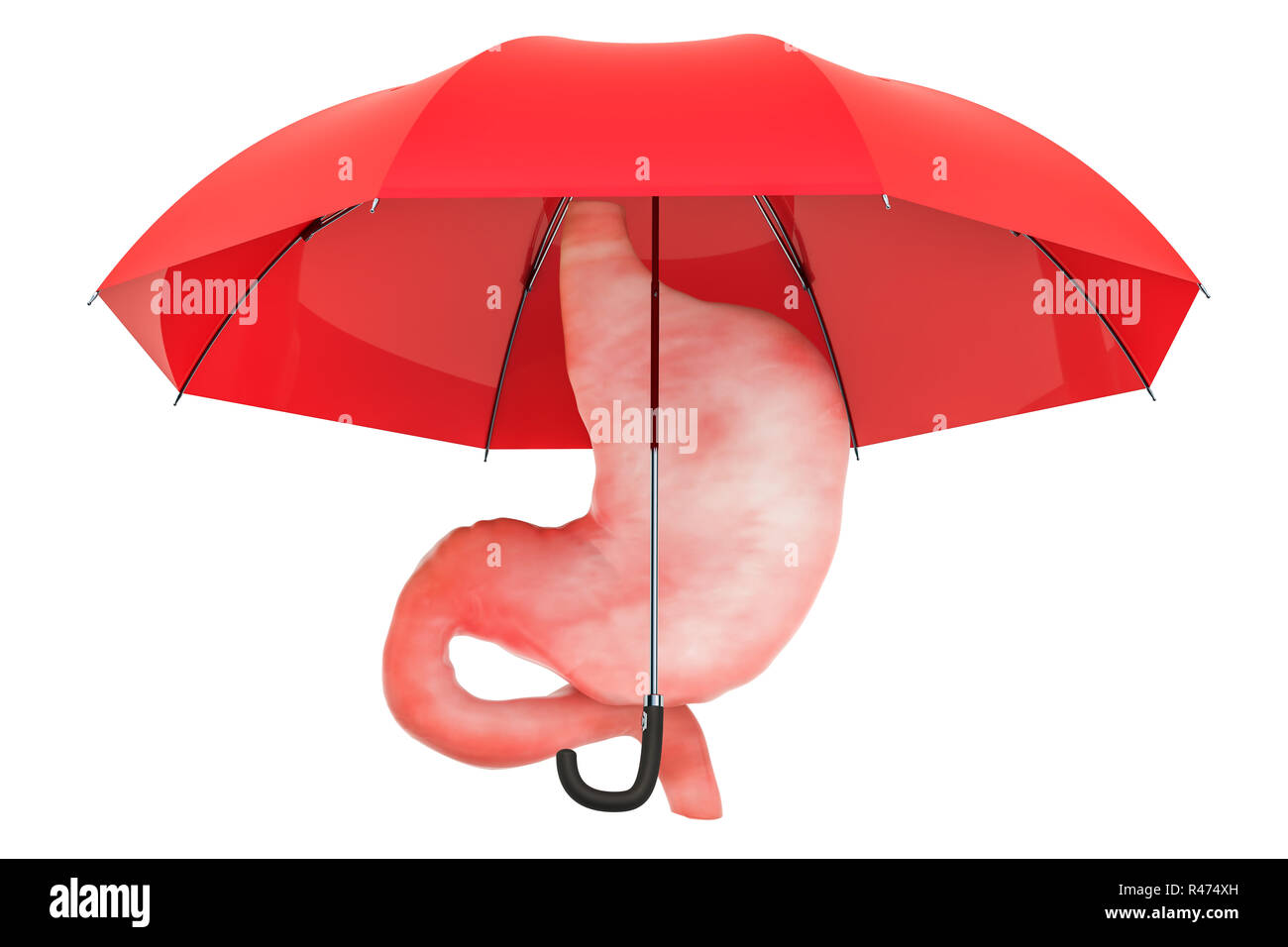 Human stomach under umbrella, protect concept. 3D rendering isolated on white background Stock Photo