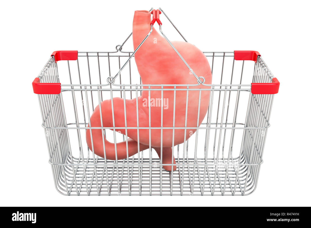 stomach in shopping basket, 3D rendering isolated on white background Stock Photo