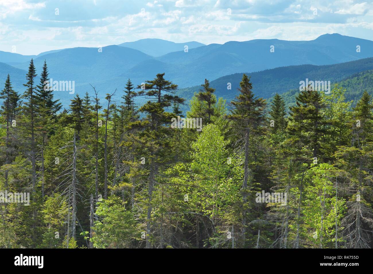 Loon mountain hi-res stock photography and images - Alamy