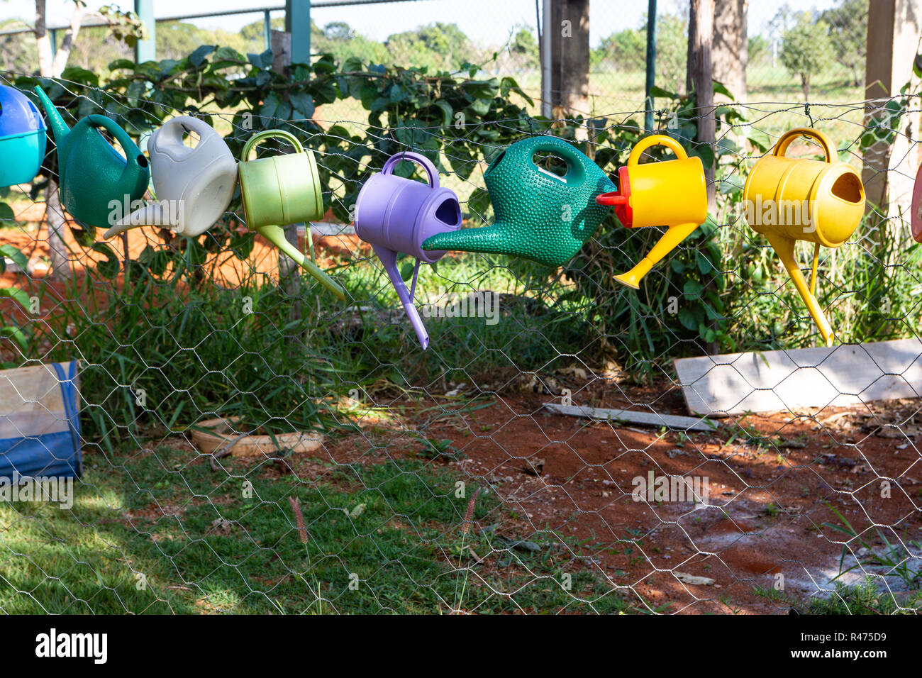 Colorful watering cans hanging on fence in garden on sunny day. Stock Photo