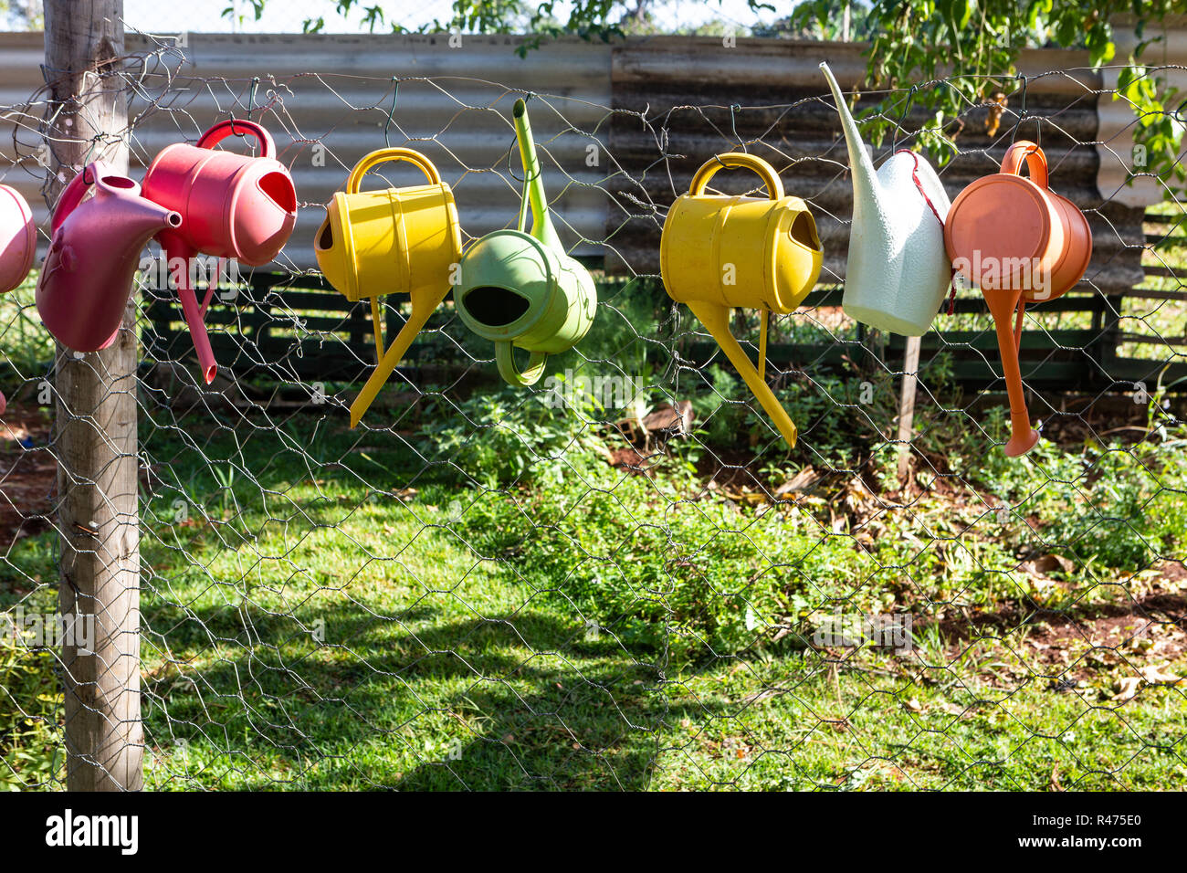Colorful watering cans hanging on fence in garden on sunny day. Stock Photo