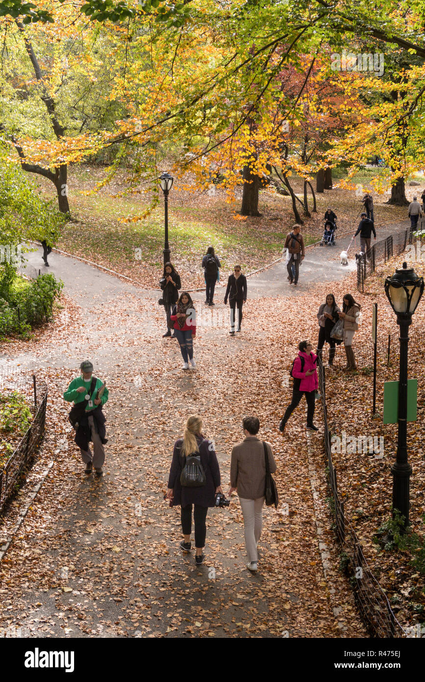 Central Park is a Public Oasis in New York City, USA Stock Photo